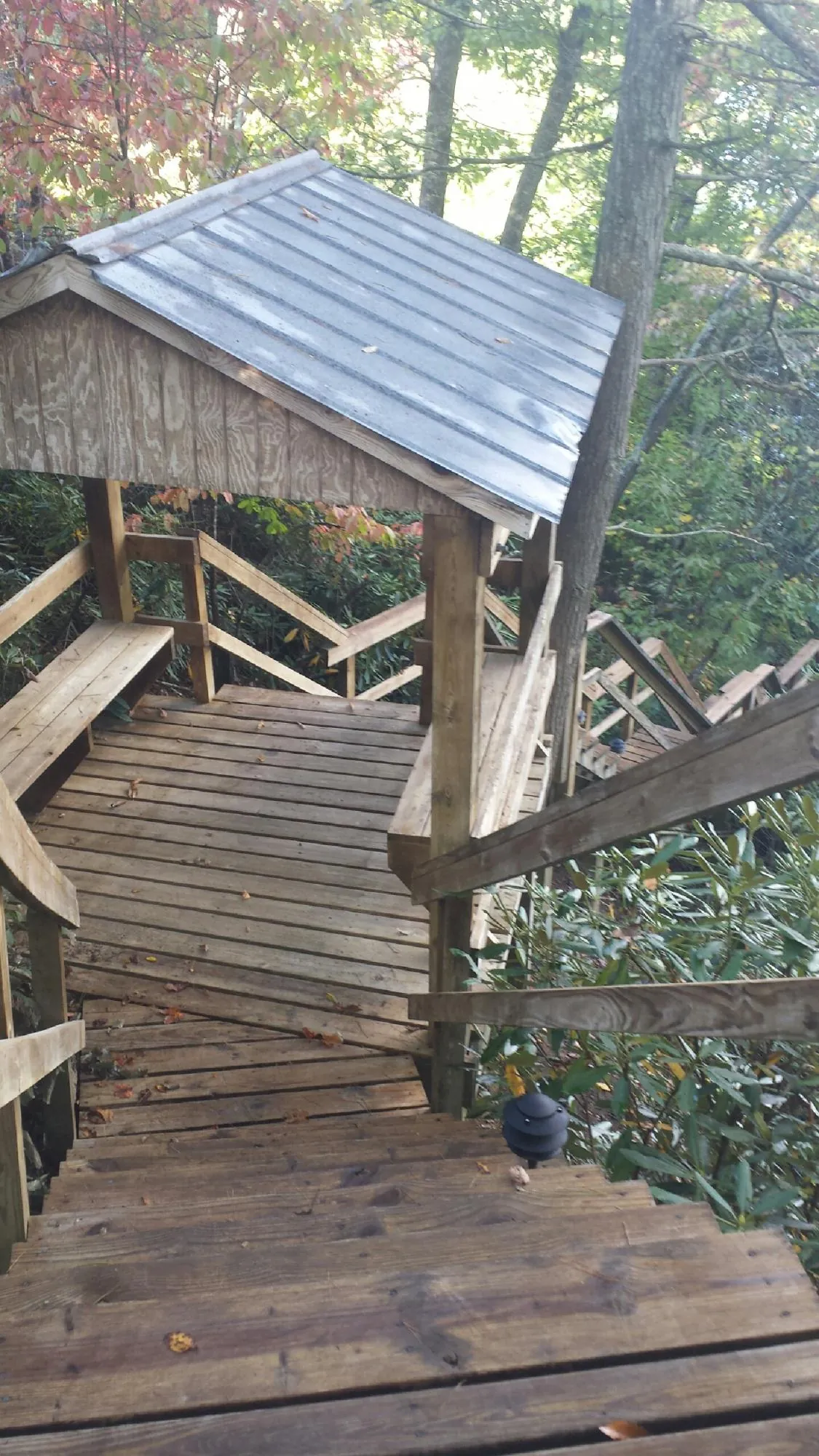 Metal roofed shelter over wooden steps on a wooded walkway — Skylight Repair & Installation work by our crew in Maineville